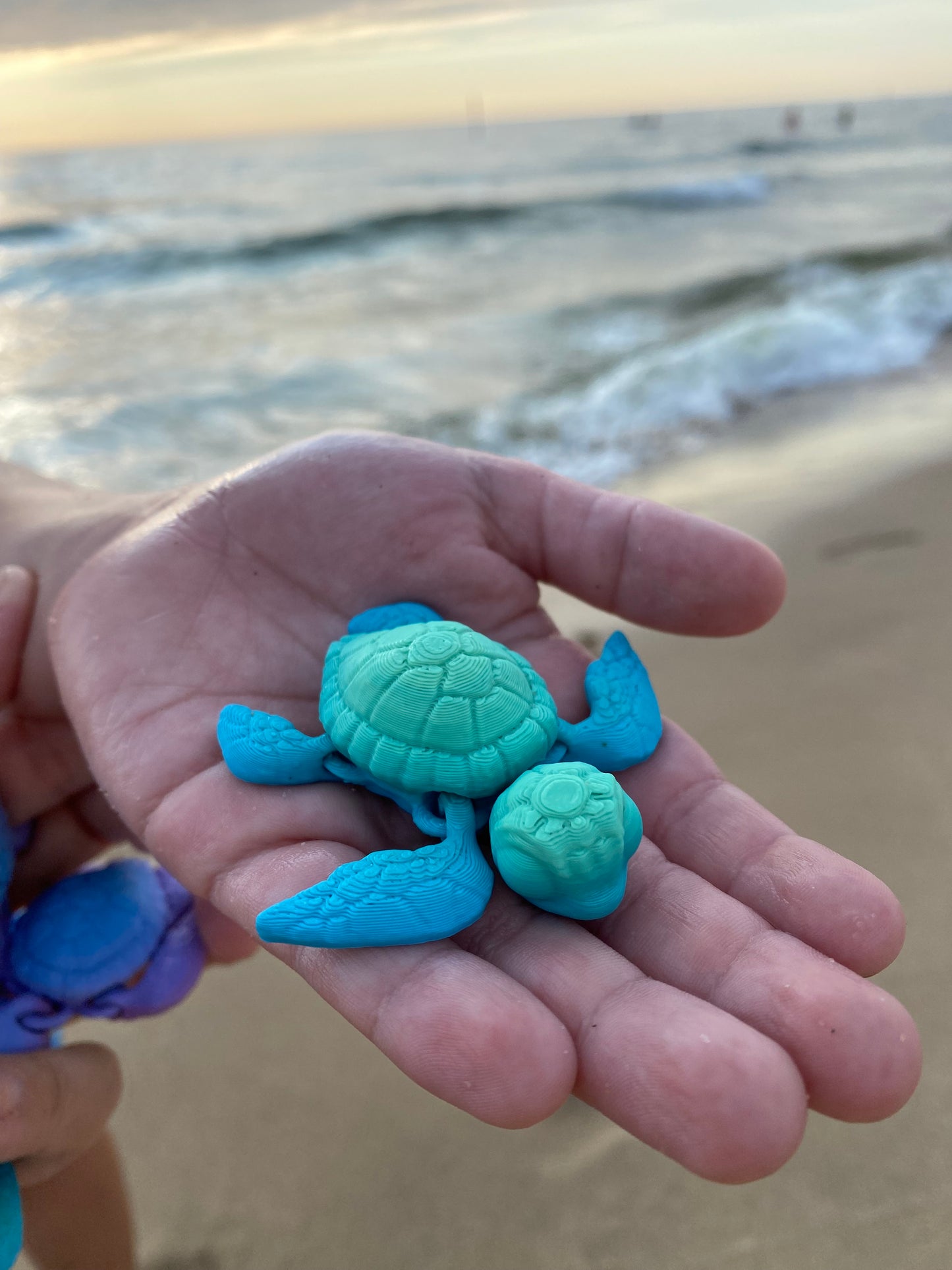 Story Sidekick: Baby Sea Turtle