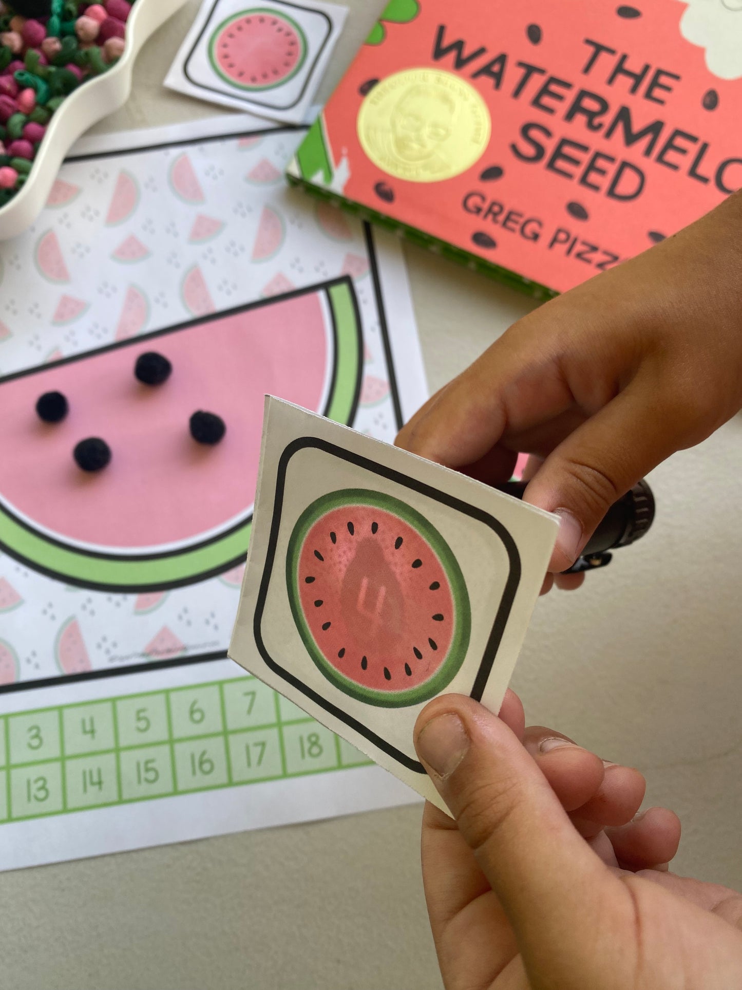 Flashlight Foldable: Watermelon Seed Counting