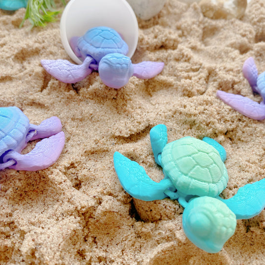 Story Sidekick: Baby Sea Turtle